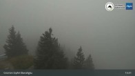 Archiv Foto Webcam Grünten - Blick vom Gipfel 12:00