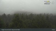 Archiv Foto Webcam Aussichtsturm Brotjacklriegel 14:00