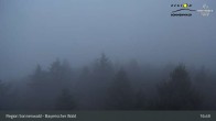 Archived image Webcam Lookout tower Brotjacklriegel 00:00
