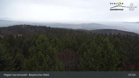 Archived image Webcam Lookout tower Brotjacklriegel 07:00