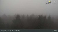 Archived image Webcam Lookout tower Brotjacklriegel 08:00