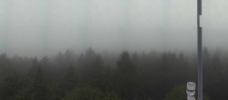 Archiv Foto Webcam Brotjacklriegel - Panoramablick vom Aussichtsturm 06:00