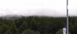 Archiv Foto Webcam Brotjacklriegel - Panoramablick vom Aussichtsturm 17:00