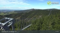 Archiv Foto Webcam Dolni Morava - Sessellift U Slona 10:00
