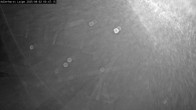 Archived image Webcam Willingen - Cross Country Trail at Ski Jumping Area 23:00