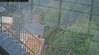 Archiv Foto Webcam Willingen: Loipe an der Schanze 19:00