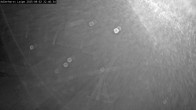 Archiv Foto Webcam Willingen: Loipe an der Schanze 21:00