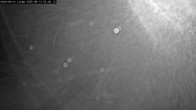 Archiv Foto Webcam Willingen: Loipe an der Schanze 03:00