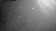 Archiv Foto Webcam Willingen: Loipe an der Schanze 23:00