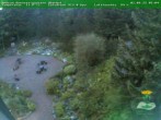 Archiv Foto Webcam Oberhof: Rennsteiggarten 05:00
