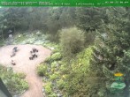 Archiv Foto Webcam Oberhof: Rennsteiggarten 06:00