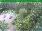 Archiv Foto Webcam Oberhof: Rennsteiggarten 07:00
