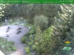 Archiv Foto Webcam Oberhof: Rennsteiggarten 09:00