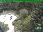 Archiv Foto Webcam Oberhof: Rennsteiggarten 13:00