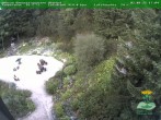 Archiv Foto Webcam Oberhof: Rennsteiggarten 17:00