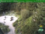 Archiv Foto Webcam Oberhof: Rennsteiggarten 19:00