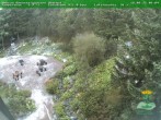 Archived image Webcam Oberhof - View Botanic Garden 06:00