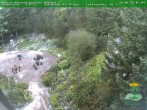 Archived image Webcam Oberhof - View Botanic Garden 07:00