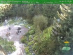 Archived image Webcam Oberhof - View Botanic Garden 09:00