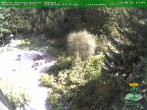 Archived image Webcam Oberhof - View Botanic Garden 11:00