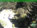Archived image Webcam Oberhof - View Botanic Garden 13:00