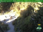Archived image Webcam Oberhof - View Botanic Garden 19:00
