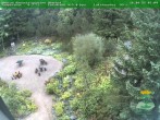 Archiv Foto Webcam Oberhof: Rennsteiggarten 07:00