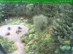 Archiv Foto Webcam Oberhof: Rennsteiggarten 08:00