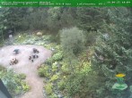 Archiv Foto Webcam Oberhof: Rennsteiggarten 10:00