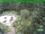 Archiv Foto Webcam Oberhof: Rennsteiggarten 11:00