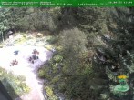 Archiv Foto Webcam Oberhof: Rennsteiggarten 13:00