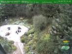 Archiv Foto Webcam Oberhof: Rennsteiggarten 15:00