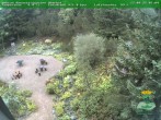 Archiv Foto Webcam Oberhof: Rennsteiggarten 07:00