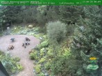 Archiv Foto Webcam Oberhof: Rennsteiggarten 08:00
