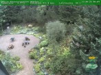 Archived image Webcam Oberhof - View Botanic Garden 09:00