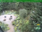 Archived image Webcam Oberhof - View Botanic Garden 11:00