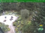 Archived image Webcam Oberhof - View Botanic Garden 13:00