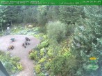 Archived image Webcam Oberhof - View Botanic Garden 07:00