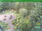 Archived image Webcam Oberhof - View Botanic Garden 08:00