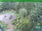 Archived image Webcam Oberhof - View Botanic Garden 09:00