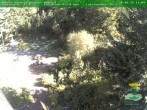 Archiv Foto Webcam Oberhof: Rennsteiggarten 11:00