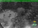 Archived image Webcam Oberhof - View Botanic Garden 07:00