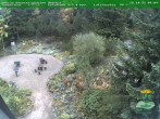 Archived image Webcam Oberhof - View Botanic Garden 09:00