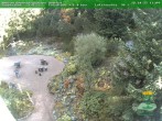 Archived image Webcam Oberhof - View Botanic Garden 11:00