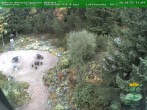 Archiv Foto Webcam Oberhof: Rennsteiggarten 13:00