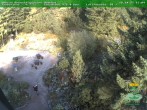 Archiv Foto Webcam Oberhof: Rennsteiggarten 15:00