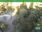 Archiv Foto Webcam Oberhof: Rennsteiggarten 17:00