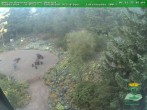 Archiv Foto Webcam Oberhof: Rennsteiggarten 07:00