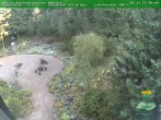 Archiv Foto Webcam Oberhof: Rennsteiggarten 09:00