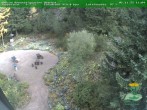 Archiv Foto Webcam Oberhof: Rennsteiggarten 11:00